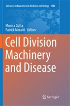 Monic Gotta, Monica Gotta, Meraldi, Meraldi, Patrick Meraldi - Cell Division Machinery and Disease