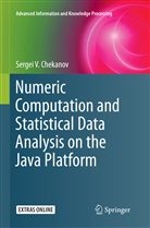 Sergei V Chekanov, Sergei V. Chekanov - Numeric Computation and Statistical Data Analysis on the Java Platform