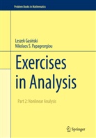 Lesze Gasinski, Leszek Gasinski, Leszek Gasiński, Leszek Gasiski, Nikolaos S Papageorgiou, Nikolaos S. Papageorgiou - Exercises in Analysis