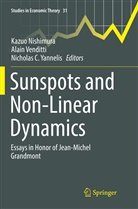 Nicholas C Yannelis, Kazuo Nishimura, Alai Venditti, Alain Venditti, Nicholas C. Yannelis - Sunspots and Non-Linear Dynamics