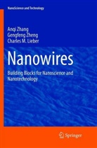 Charles M. Lieber, Charles M Lieber, Charles M. Lieber, Anq Zhang, Anqi Zhang, Gengfen Zheng... - Nanowires