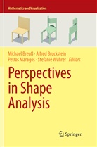 Michael Breuß, Alfre Bruckstein, Alfred Bruckstein, Petros Maragos, Petros Maragos et al, Stefanie Wuhrer - Perspectives in Shape Analysis
