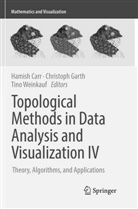Hamish Carr, Christop Garth, Christoph Garth, Tino Weinkauf - Topological Methods in Data Analysis and Visualization IV