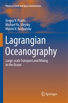 Ma Budyansky, Maxim V. Budyansky, Sergey Prants, Sergey V Prants, Sergey V. Prants, Michael Y Uleysky... - Lagrangian Oceanography