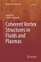 Anatol Tur, Anatoli Tur, Vladimir Yanovsky - Coherent Vortex Structures in Fluids and Plasmas