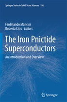 Citro, Citro, Roberta Citro, Ferdinand Mancini, Ferdinando Mancini - The Iron Pnictide Superconductors