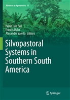Franci Dube, Francis Dube, Pablo Luis Peri, Alexandre Varella - Silvopastoral Systems in Southern South America