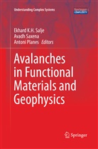 Antoni Planes, Ekhard K. H. Salje, Ekhard K.H. Salje, Avad Saxena, Avadh Saxena - Avalanches in Functional Materials and Geophysics