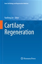 Yunfen Lin, Yunfeng Lin - Cartilage Regeneration