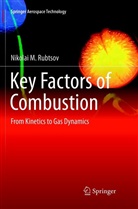 Nikolai M Rubtsov, Nikolai M. Rubtsov - Key Factors of Combustion