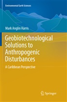 Mark Anglin Harris - Geobiotechnological Solutions to Anthropogenic Disturbances