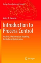 Victor A Skormin, Victor A. Skormin - Introduction to Process Control