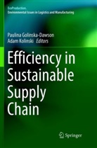 Paulin Golinska-Dawson, Paulina Golinska-Dawson, Kolinski, Kolinski, Adam Kolinski - Efficiency in Sustainable Supply Chain