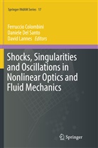 Ferruccio Colombini, Daniel Del Santo, Daniele Del Santo, David Lannes - Shocks, Singularities and Oscillations in Nonlinear Optics and Fluid Mechanics