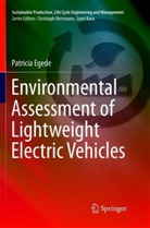 Patricia Egede - Environmental Assessment of Lightweight Electric Vehicles