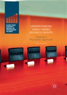 Manlio Del Giudice - Understanding Family-Owned Business Groups
