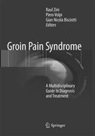 Gian Nicola Bisciotti, Gian Nicola Bisciotti, Pier Volpi, Piero Volpi, Raul Zini - Groin Pain Syndrome