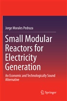 Jorge Morales Pedraza - Small Modular Reactors for Electricity Generation