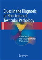 Pila González-Peramato, Pilar González-Peramato, Manue Nistal, Manuel Nistal, Á Serrano, Álvaro Serrano - Clues in the Diagnosis of Non-tumoral Testicular Pathology
