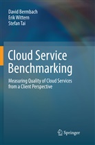 Davi Bermbach, David Bermbach, Stefan Tai, Eri Wittern, Erik Wittern - Cloud Service Benchmarking
