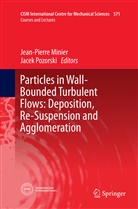 Jean-Pierr Minier, Jean-Pierre Minier, Pozorski, Pozorski, Jacek Pozorski - Particles in Wall-Bounded Turbulent Flows: Deposition, Re-Suspension and Agglomeration