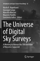 Enrichetta Iodice, Giusepp Longo, Giuseppe Longo, Marcella Marconi, Marcella Marconi et al, Nicola R. Napolitano... - The Universe of Digital Sky Surveys