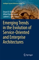 Lakhmi C Jain, Eman El-Sheikh, Lakhmi C. Jain, Alfre Zimmermann, Alfred Zimmermann - Emerging Trends in the Evolution of Service-Oriented and Enterprise Architectures