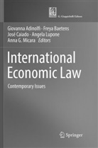Giovanna Adinolfi, Frey Baetens, Freya Baetens, José Caiado, José Caiado et al, Angela Lupone... - International Economic Law
