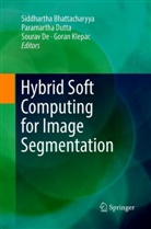 Siddhartha Bhattacharyya, Sourav De, Sourav De et al, Paramarth Dutta, Paramartha Dutta, Goran Klepac - Hybrid Soft Computing for Image Segmentation