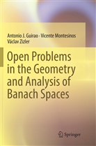 Antonio Guirao, Antonio J Guirao, Antonio J. Guirao, Vicent Montesinos, Vicente Montesinos, Václ Zizler... - Open Problems in the Geometry and Analysis of Banach Spaces