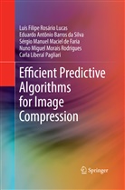 Eduard Barros da Silva, Eduardo Antônio Barros Da Silva, Carla Liberal Pagliari, Sérgio Manuel Maciel de Faria, Nuno Miguel Morais Rodrigues, Luís Filip Rosário Lucas... - Efficient Predictive Algorithms for Image Compression