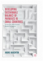 Andre Haughton - Developing Sustainable Balance of Payments in Small Countries