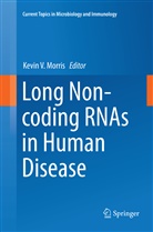 Kevin V. Morris, Kevi V Morris, Kevin V Morris - Long Non-coding RNAs in Human Disease