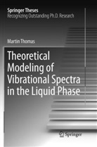 Martin Thomas - Theoretical Modeling of Vibrational Spectra in the Liquid Phase