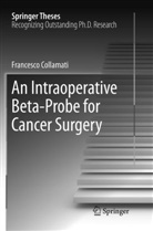 Francesco Collamati - An Intraoperative Beta-Probe for Cancer Surgery