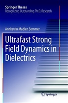 Annkatrin Madlen Sommer - Ultrafast Strong Field Dynamics in Dielectrics