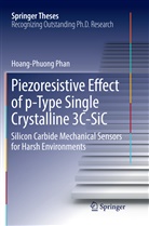 Hoang-Phuong Phan - Piezoresistive Effect of p-Type Single Crystalline 3C-SiC