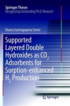 Diana Iruretagoyena Ferrer - Supported Layered Double Hydroxides as CO2 Adsorbents for Sorption-enhanced H2 Production