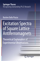 Bastien Dalla Piazza - Excitation Spectra of Square Lattice Antiferromagnets