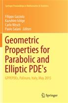 Filippo Gazzola, Kazuhir Ishige, Kazuhiro Ishige, Carlo Nitsch, Carlo Nitsch et al, Paolo Salani - Geometric Properties for Parabolic and Elliptic PDE's
