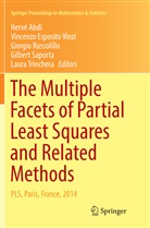 Hervé Abdi, Vincenz Esposito Vinzi, Vincenzo Esposito Vinzi, Giorgio Russolillo, Giorgio Russolillo et al, Gilbert Saporta... - The Multiple Facets of Partial Least Squares and Related Methods