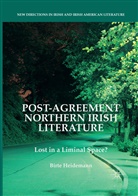 Birte Heidemann - Post-Agreement Northern Irish Literature