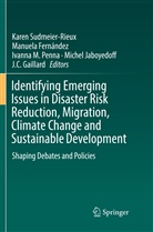 Manuel Fernández, Manuela Fernández, J. C. Gaillard, J.C. Gaillard, Michel Jaboyedoff, Ivanna M Penna et al... - Identifying Emerging Issues in Disaster Risk Reduction, Migration, Climate Change and Sustainable Development