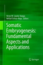 Víctor M Loyola-Vargas, Vícto M Loyola-Vargas, Víctor M Loyola-Vargas, Ochoa-Alejo, Ochoa-Alejo, Neftalí Ochoa-Alejo - Somatic Embryogenesis: Fundamental Aspects and Applications
