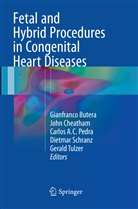 Carlos AC Pedra et al, Gianfranco Butera, Joh Cheatham, John Cheatham, Carlos Ac Pedra, Dietmar Schranz... - Fetal and Hybrid Procedures in Congenital Heart Diseases