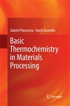 David Jaramillo, Gabrie Plascencia, Gabriel Plascencia - Basic Thermochemistry in Materials Processing