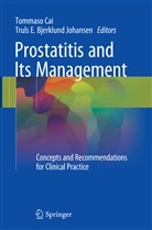 Truls E. Bjerklund Johansen, Tommas Cai, Tommaso Cai, E Bjerklund Johansen, E Bjerklund Johansen - Prostatitis and Its Management