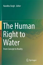 Nandit Singh, Nandita Singh - The Human Right to Water