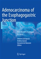 Giovanni De Manzoni, Simone Giacopuzzi, Andre Zanoni, Andrea Zanoni - Adenocarcinoma of the Esophagogastric Junction