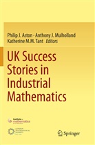 Philip J. Aston, Anthon J Mulholland, Anthony J Mulholland, Katherine M M Tant, Anthony J. Mulholland, Katherine M. M. Tant... - UK Success Stories in Industrial Mathematics